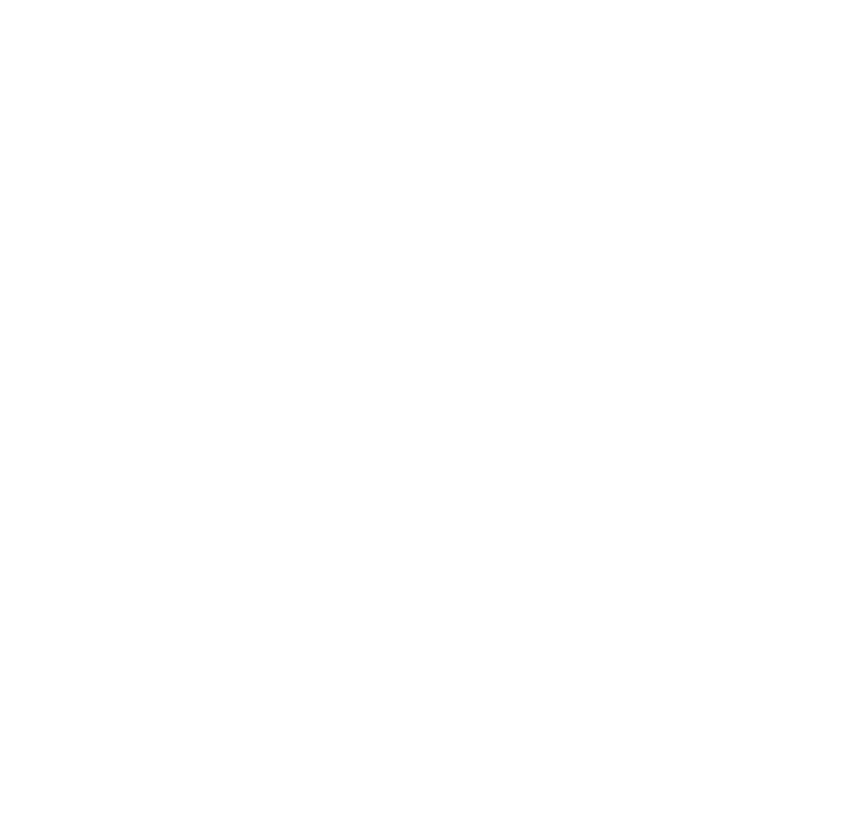 Expert